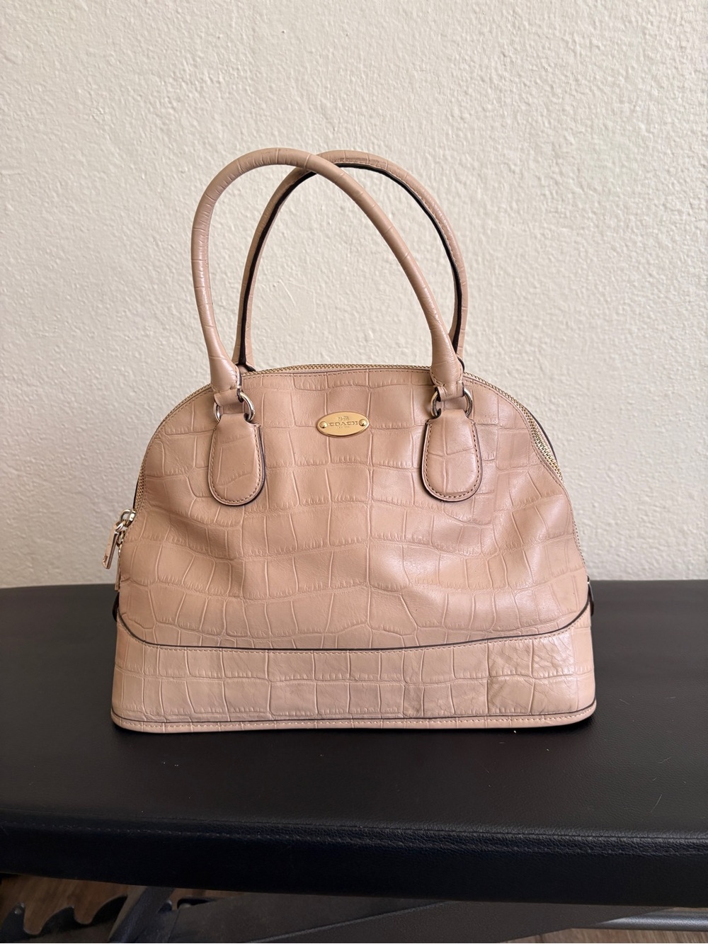 Coach Croc-Embossed Satchel in Nude